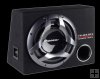 Subwoofer Pioneer TS-WX303